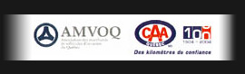 AMVOQ auto usagé levis